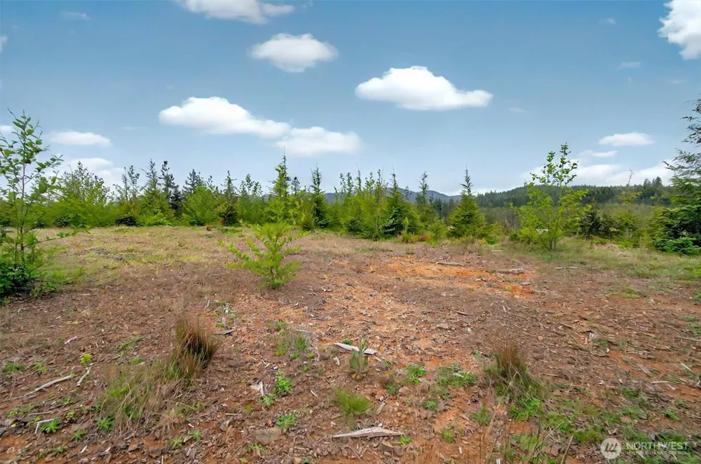 4 Parpala Road #4 Naselle, WA 98638