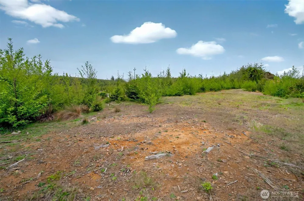 4 Parpala Road #4 Naselle, WA 98638
