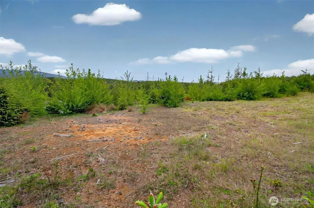 4 Parpala Road #4 Naselle, WA 98638