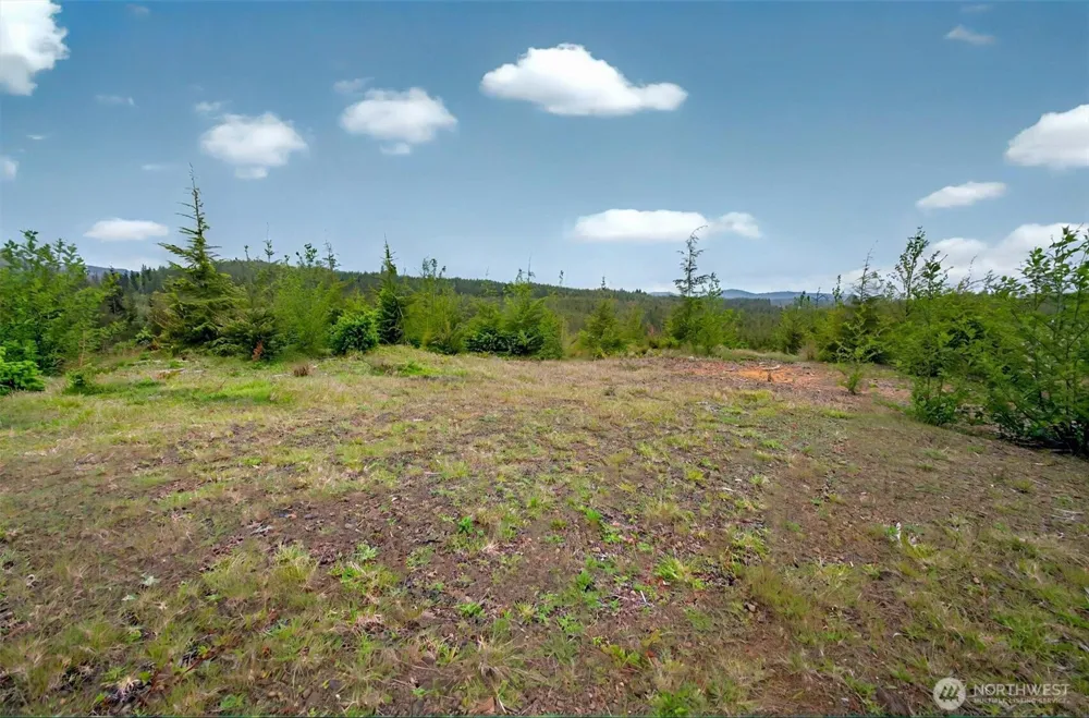 4 Parpala Road #4 Naselle, WA 98638