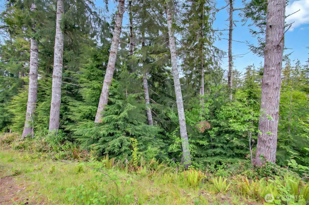 4 Parpala Road #4 Naselle, WA 98638