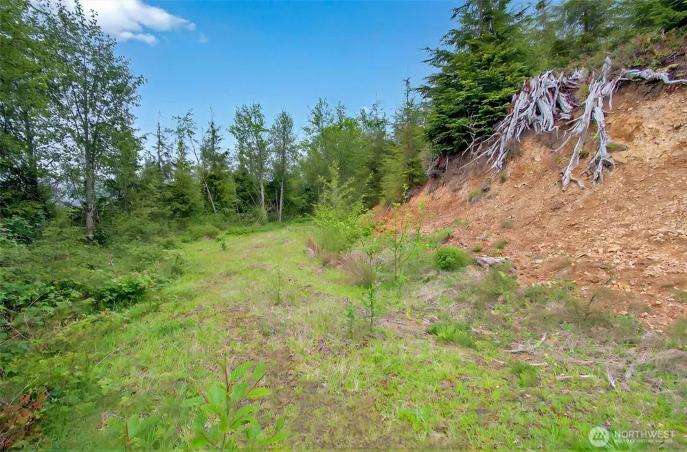 4 Parpala Road #4 Naselle, WA 98638
