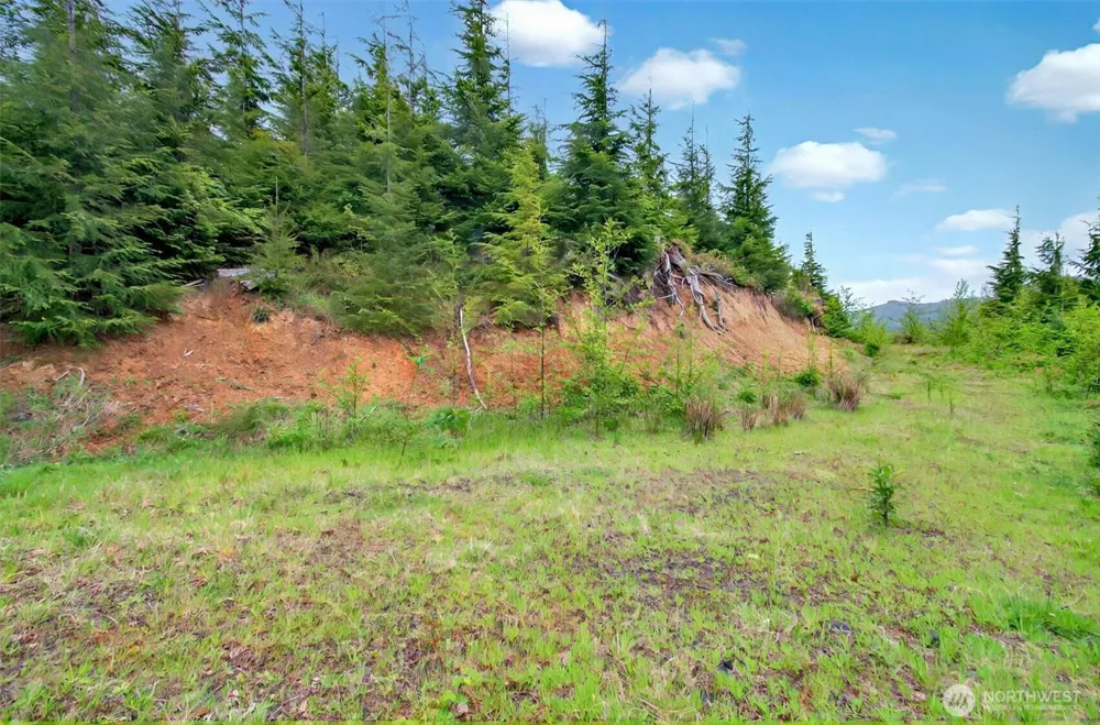 4 Parpala Road #4 Naselle, WA 98638