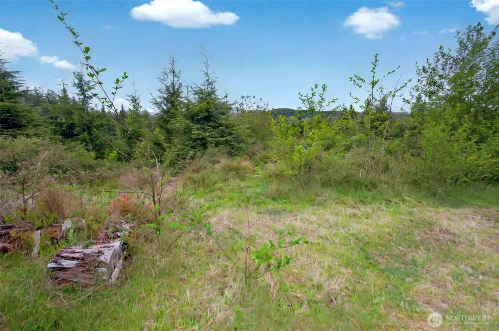 4 Parpala Road #4 Naselle, WA 98638