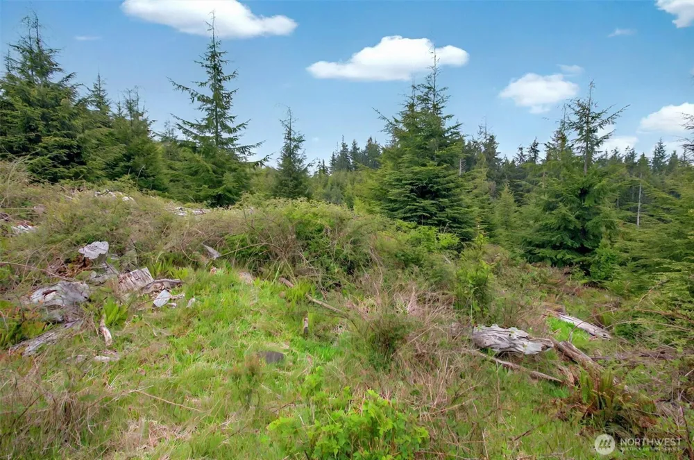 4 Parpala Road #4 Naselle, WA 98638