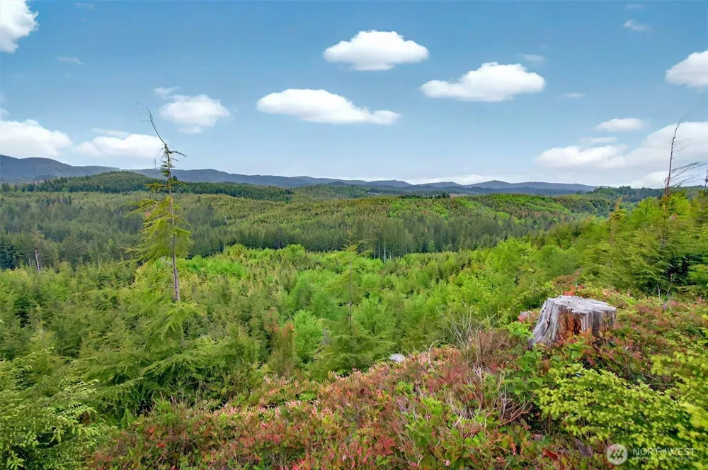 4 Parpala Road #4 Naselle, WA 98638