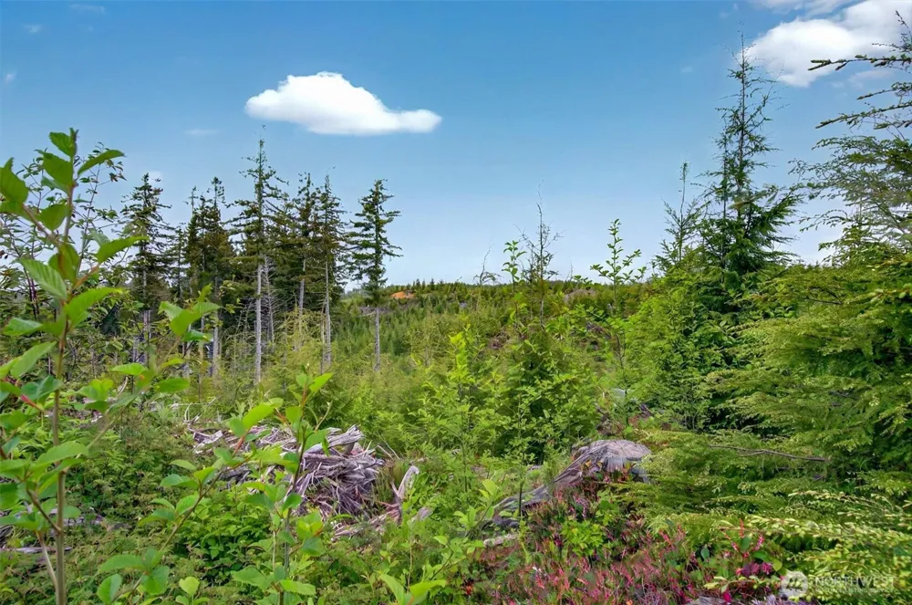 4 Parpala Road #4 Naselle, WA 98638