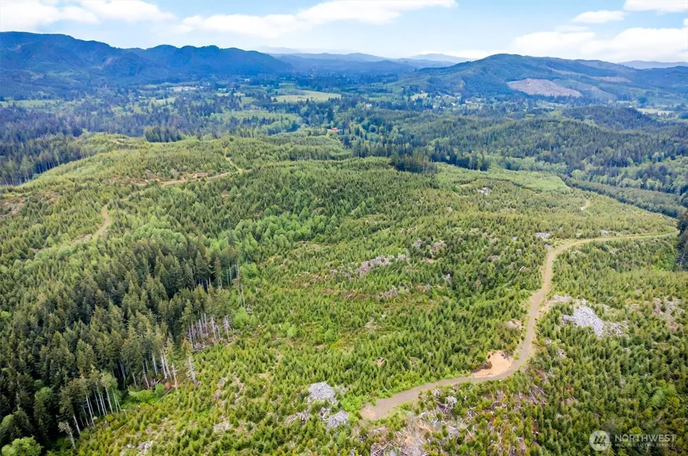 4 Parpala Road #4 Naselle, WA 98638