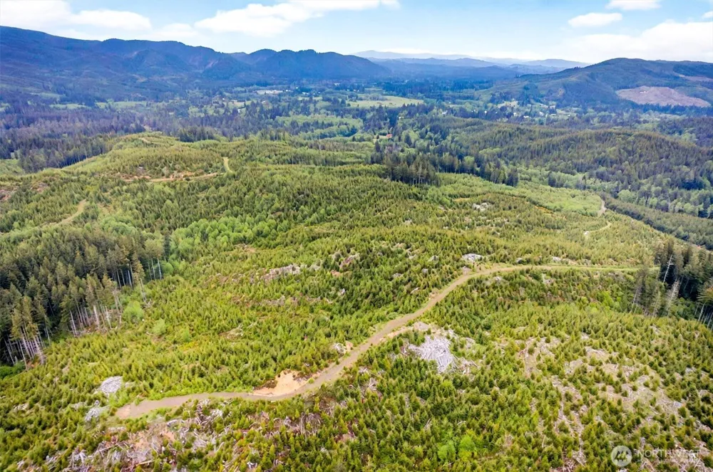 4 Parpala Road #4 Naselle, WA 98638