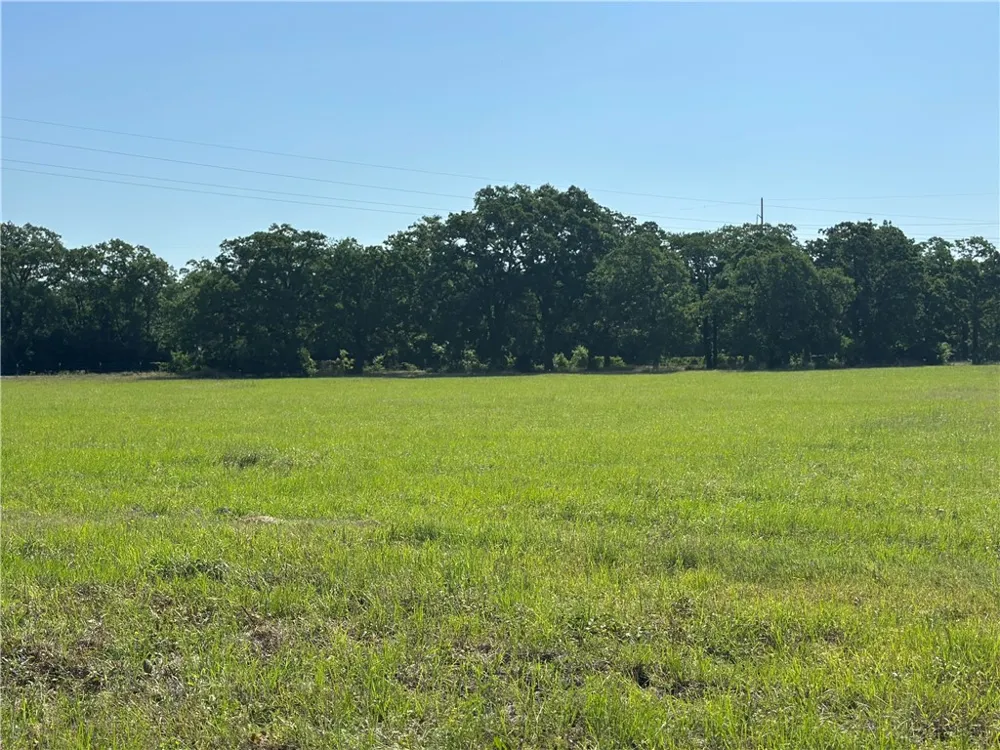 5010 CR 127 Iola, TX 77861