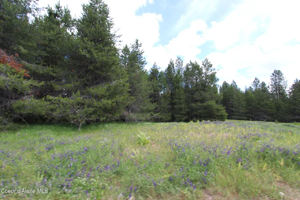 NKA Haughey Dr, Lot 10 Cocolalla, ID 83813