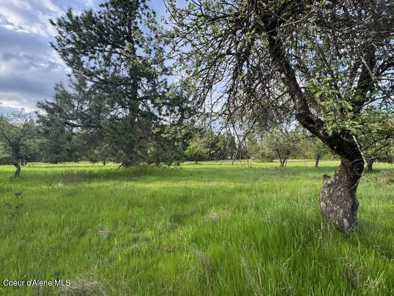 NKA Haughey Dr, Lot 10 Cocolalla, ID 83813