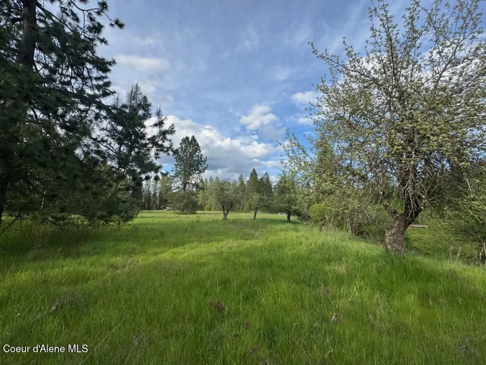 NKA Haughey Dr, Lot 10 Cocolalla, ID 83813