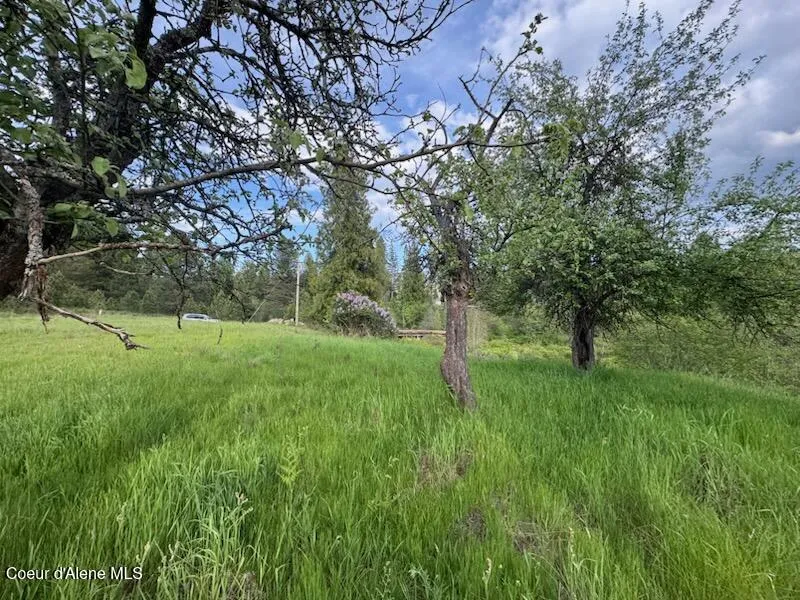 NKA Haughey Dr, Lot 10 Cocolalla, ID 83813