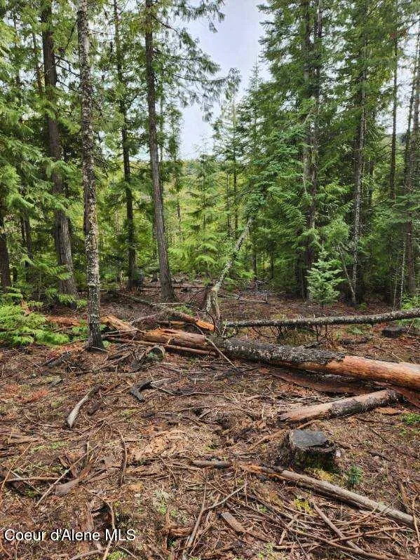 NKA Middle Fork Santa Creek St. Maries, ID 83861