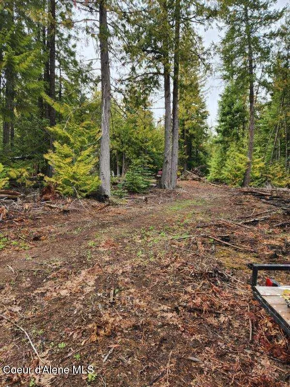NKA Middle Fork Santa Creek St. Maries, ID 83861