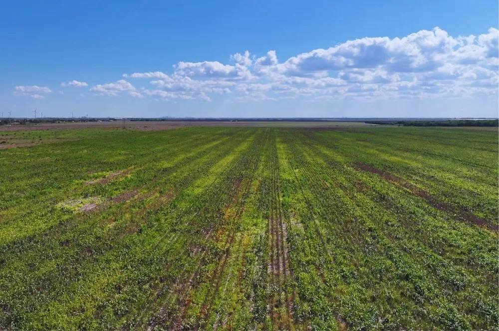 CR 2367 Odem, TX 78370