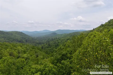 000 Boone Top