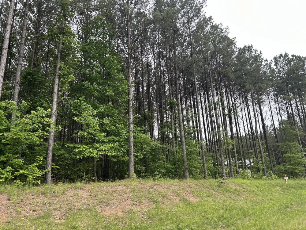 1771 Crockett Point Jasper, TN 37347