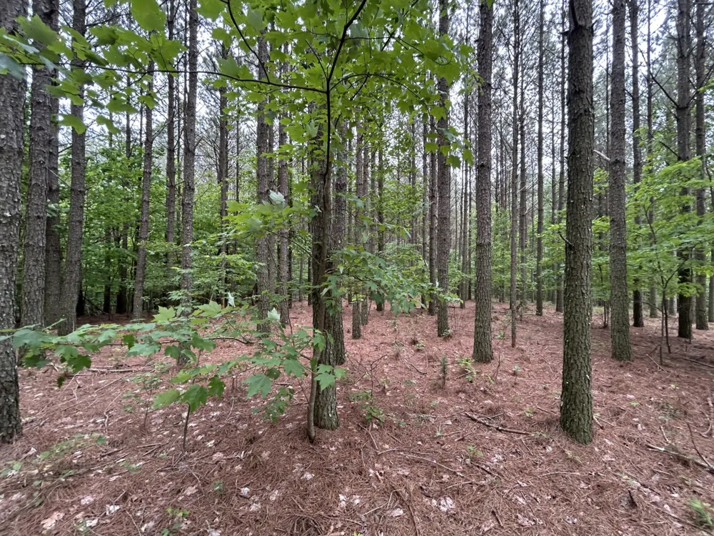1771 Crockett Point Jasper, TN 37347