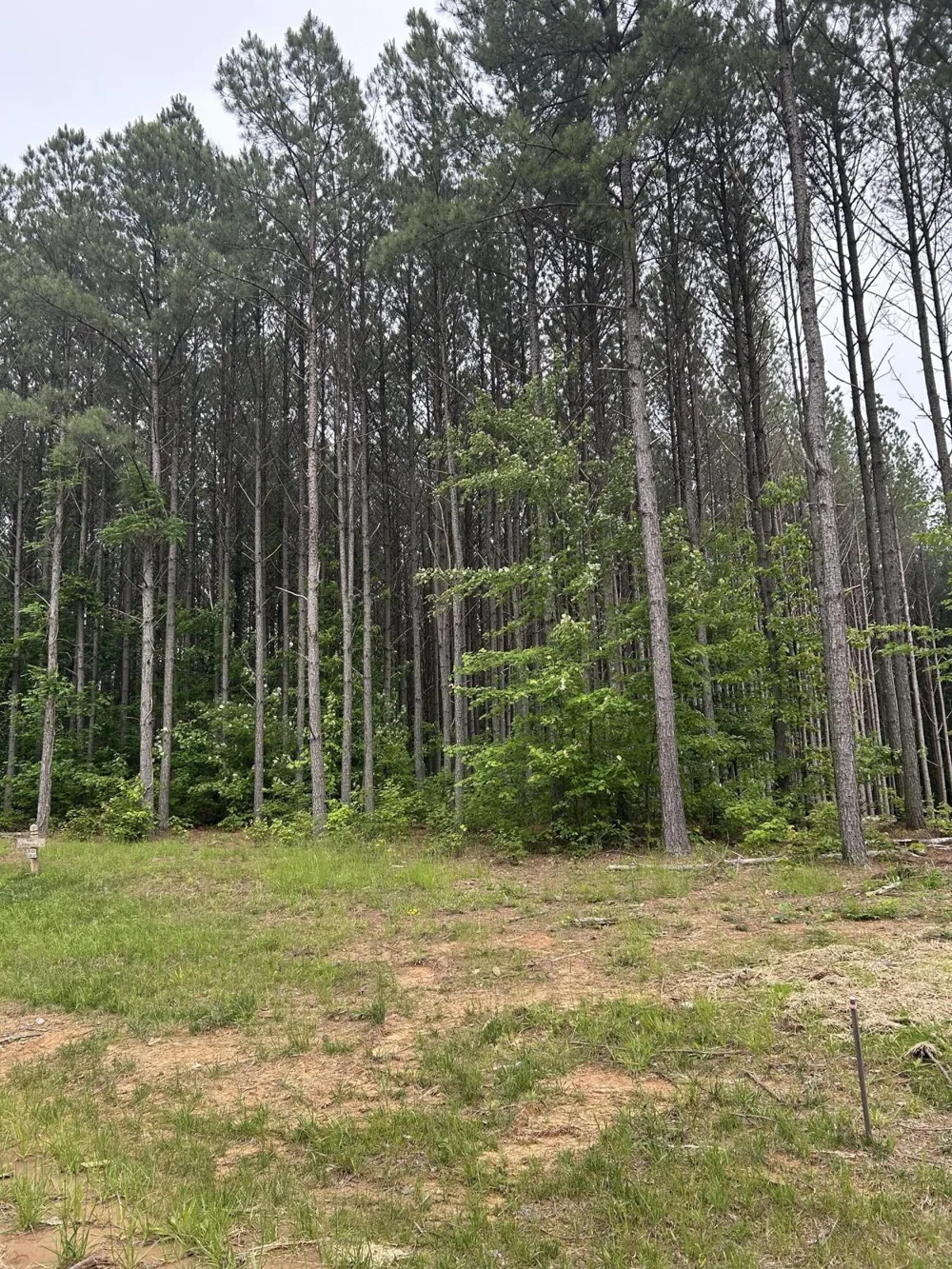 1771 Crockett Point Jasper, TN 37347