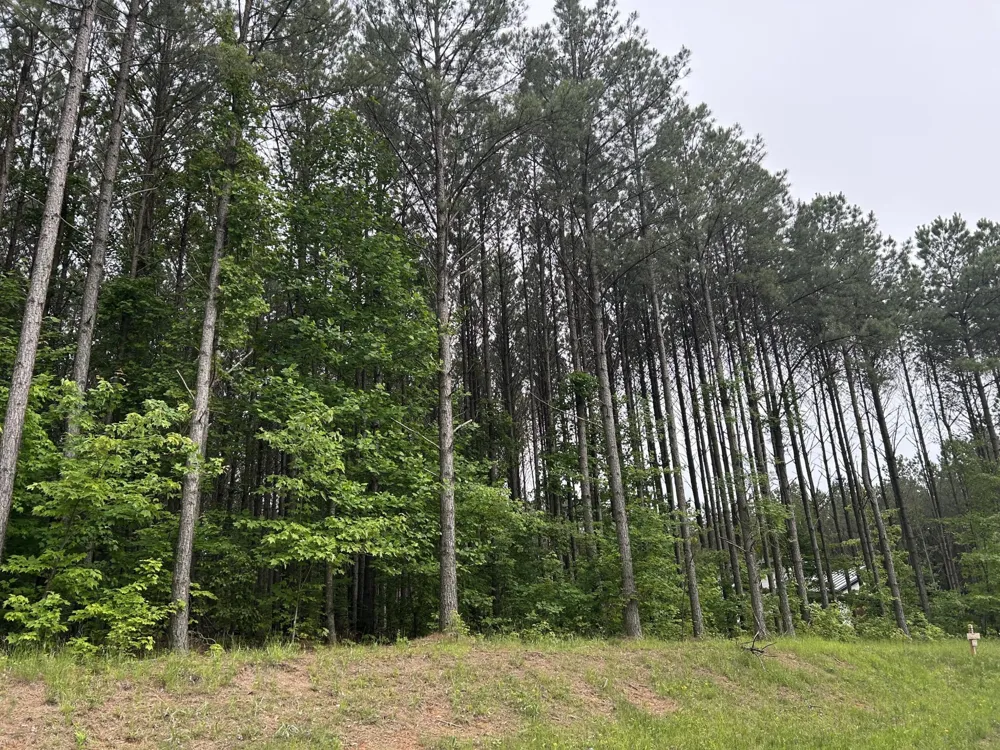 1771 Crockett Point Jasper, TN 37347