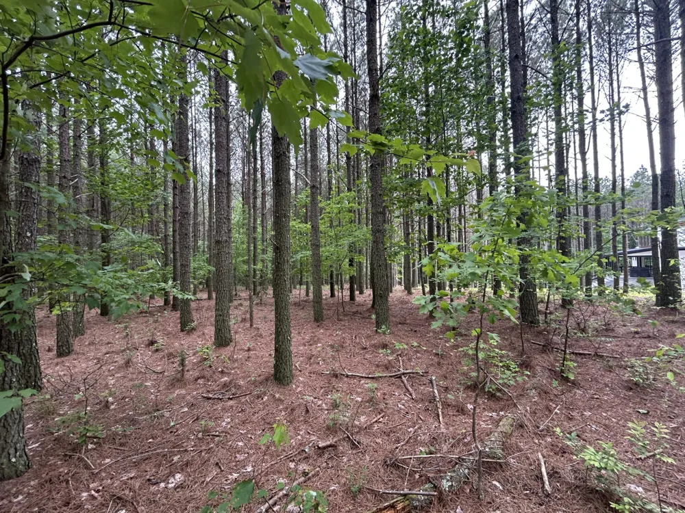 1771 Crockett Point Jasper, TN 37347