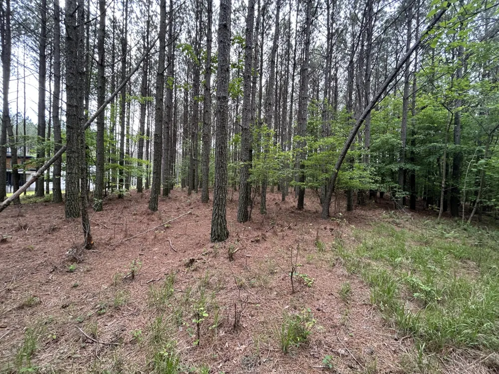 1771 Crockett Point Jasper, TN 37347