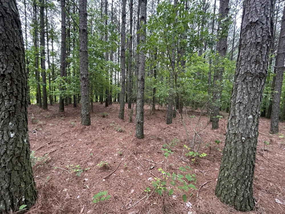 1771 Crockett Point Jasper, TN 37347