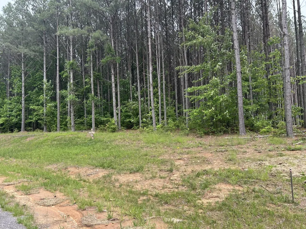 1771 Crockett Point Jasper, TN 37347