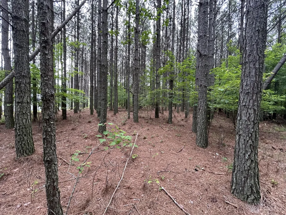 1771 Crockett Point Jasper, TN 37347