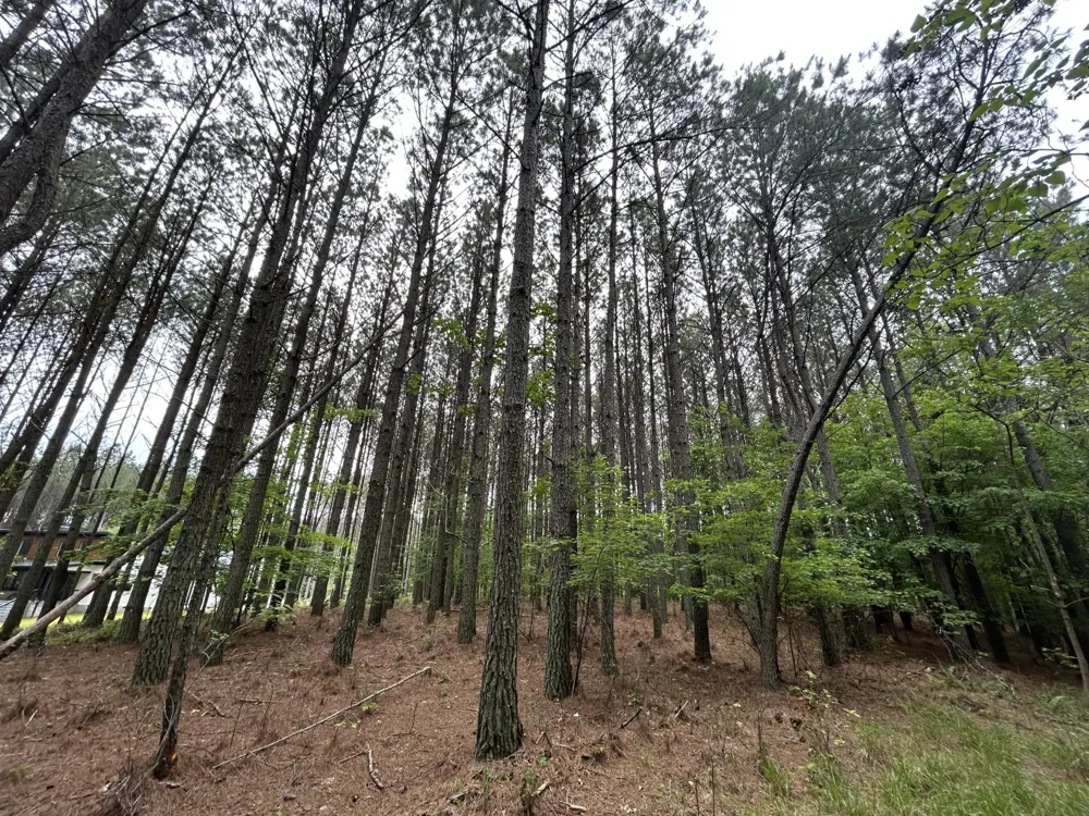 1771 Crockett Point Jasper, TN 37347