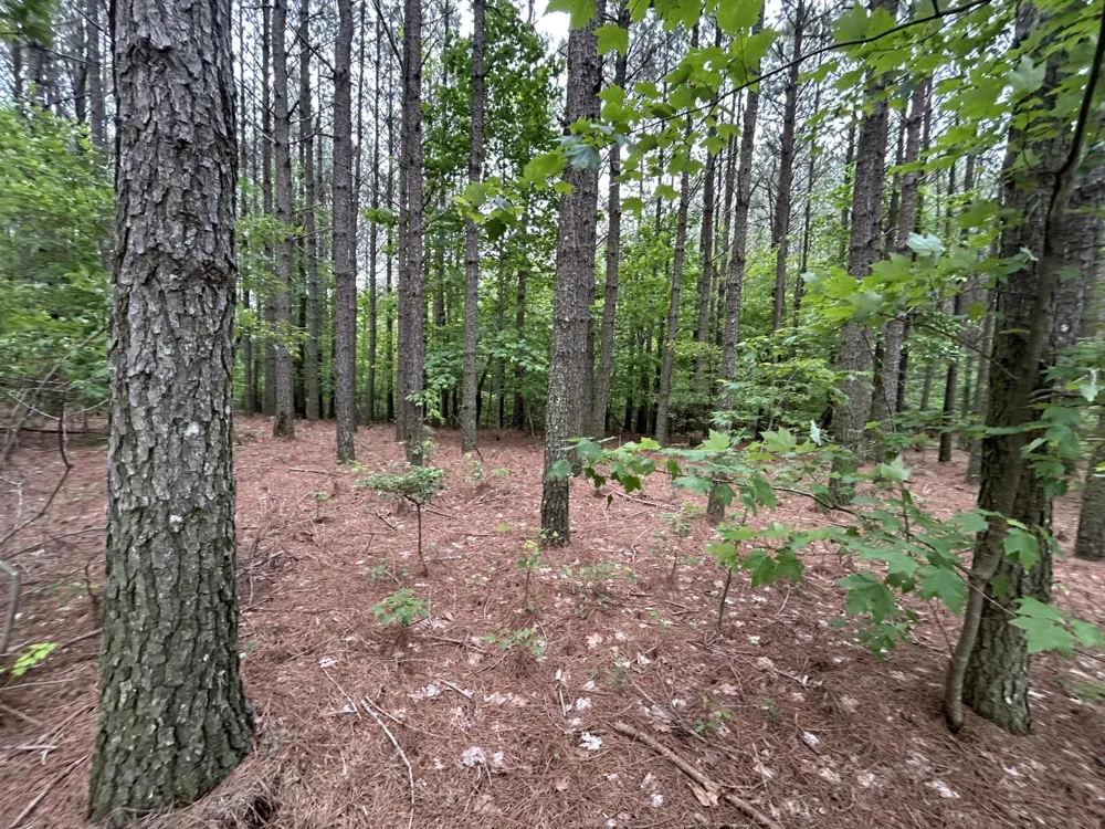 1771 Crockett Point Jasper, TN 37347