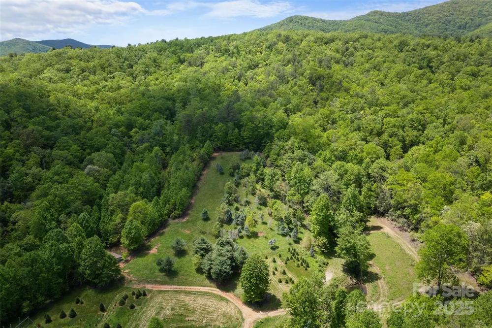 1557 Shoal Creek Road Balsam Grove, NC 28708
