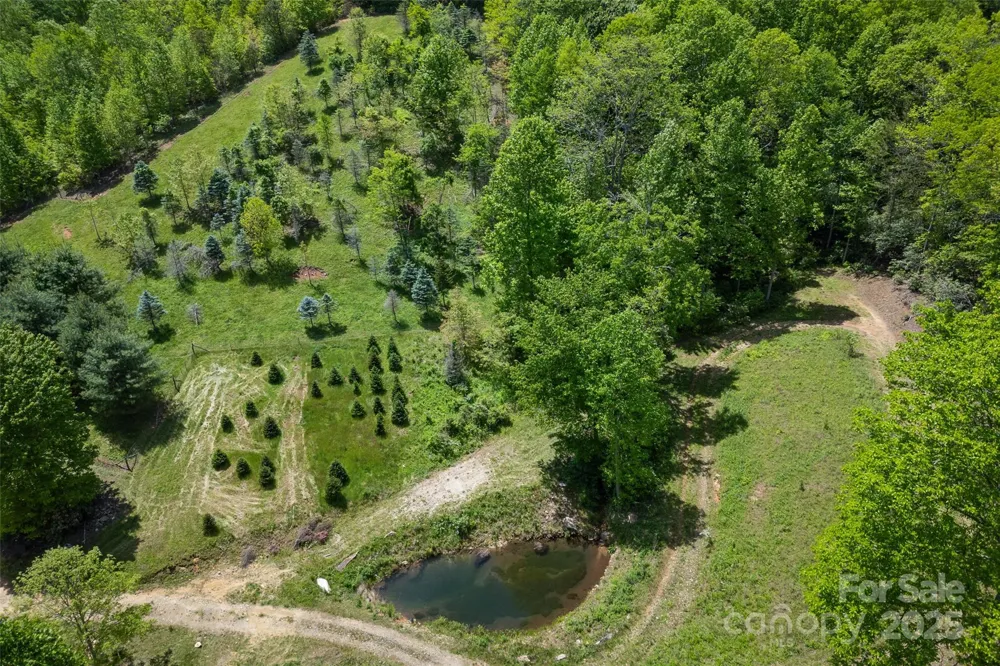 1557 Shoal Creek Road Balsam Grove, NC 28708