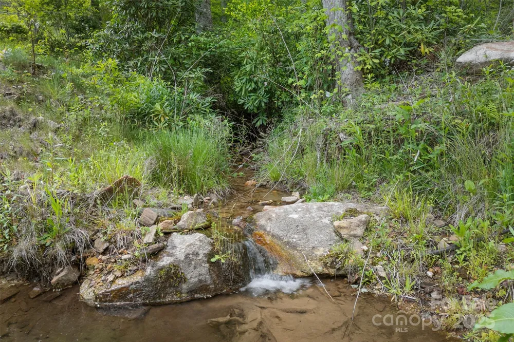 1557 Shoal Creek Road Balsam Grove, NC 28708