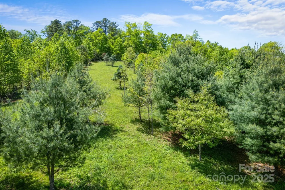1557 Shoal Creek Road Balsam Grove, NC 28708
