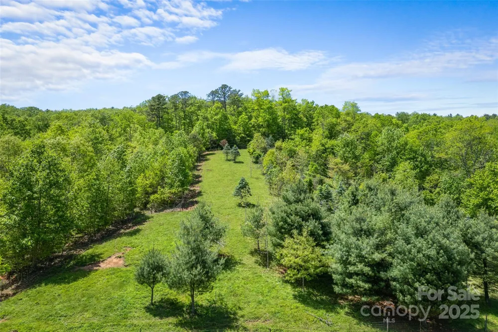 1557 Shoal Creek Road Balsam Grove, NC 28708
