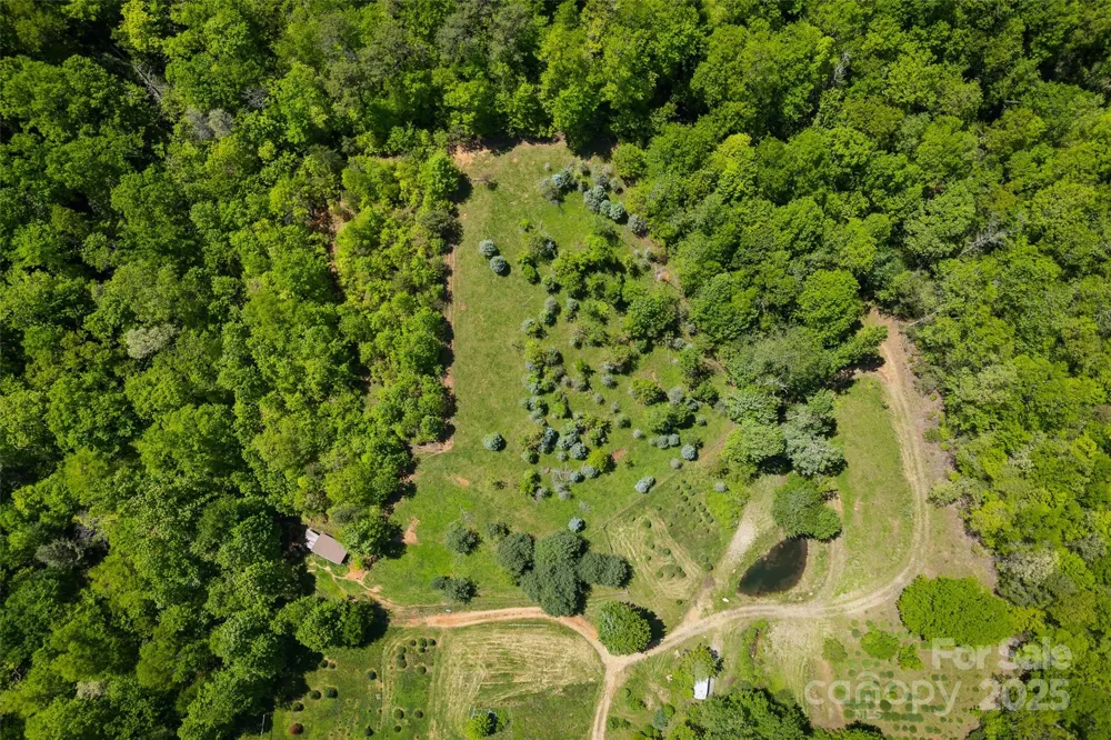 1557 Shoal Creek Road Balsam Grove, NC 28708