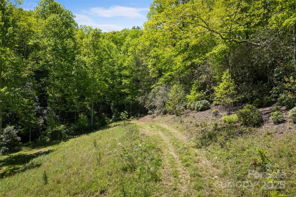 1557 Shoal Creek Road Balsam Grove, NC 28708