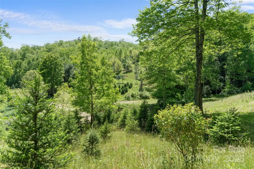 1557 Shoal Creek Road Balsam Grove, NC 28708
