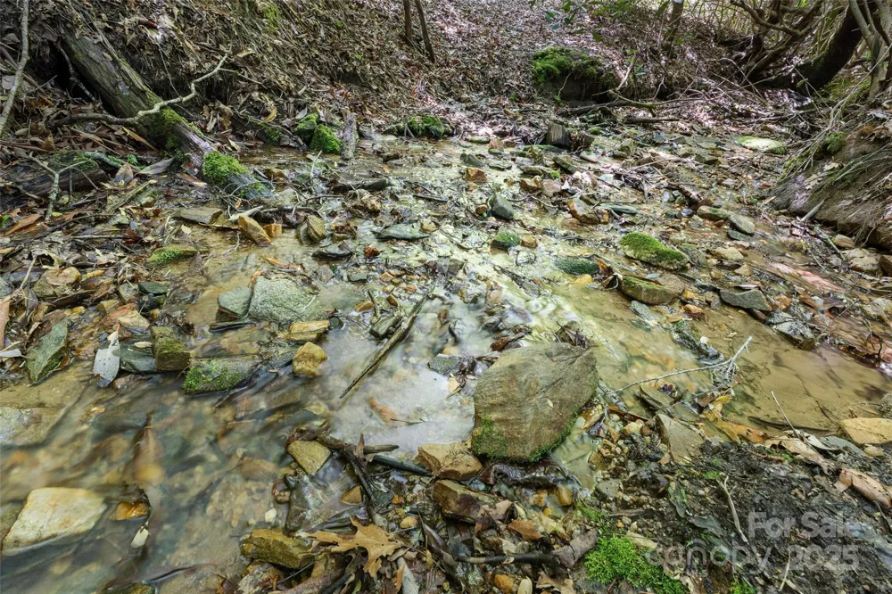 1557 Shoal Creek Road Balsam Grove, NC 28708