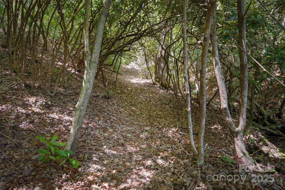 1557 Shoal Creek Road Balsam Grove, NC 28708