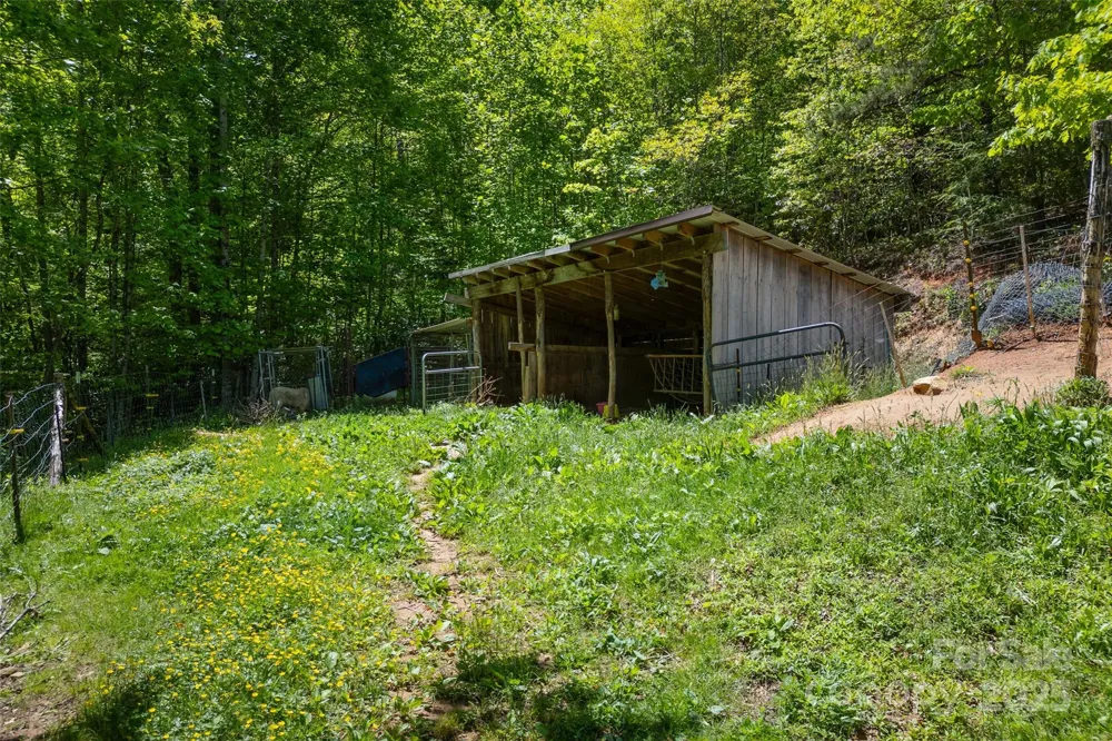 1557 Shoal Creek Road Balsam Grove, NC 28708