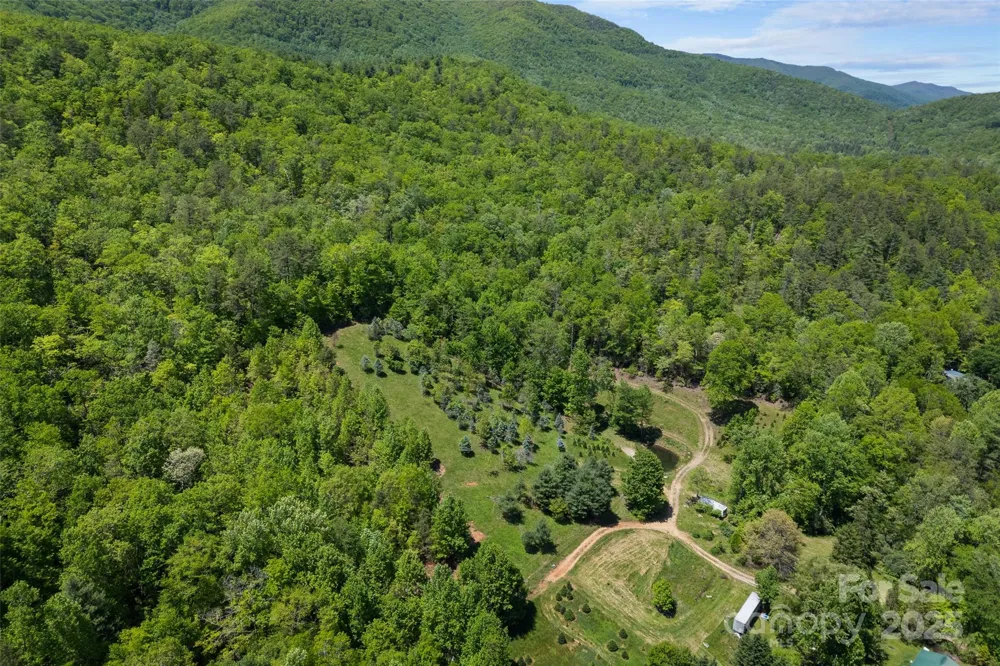 1557 Shoal Creek Road Balsam Grove, NC 28708