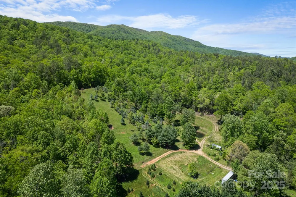 1557 Shoal Creek Road Balsam Grove, NC 28708