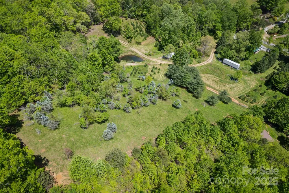 1557 Shoal Creek Road Balsam Grove, NC 28708