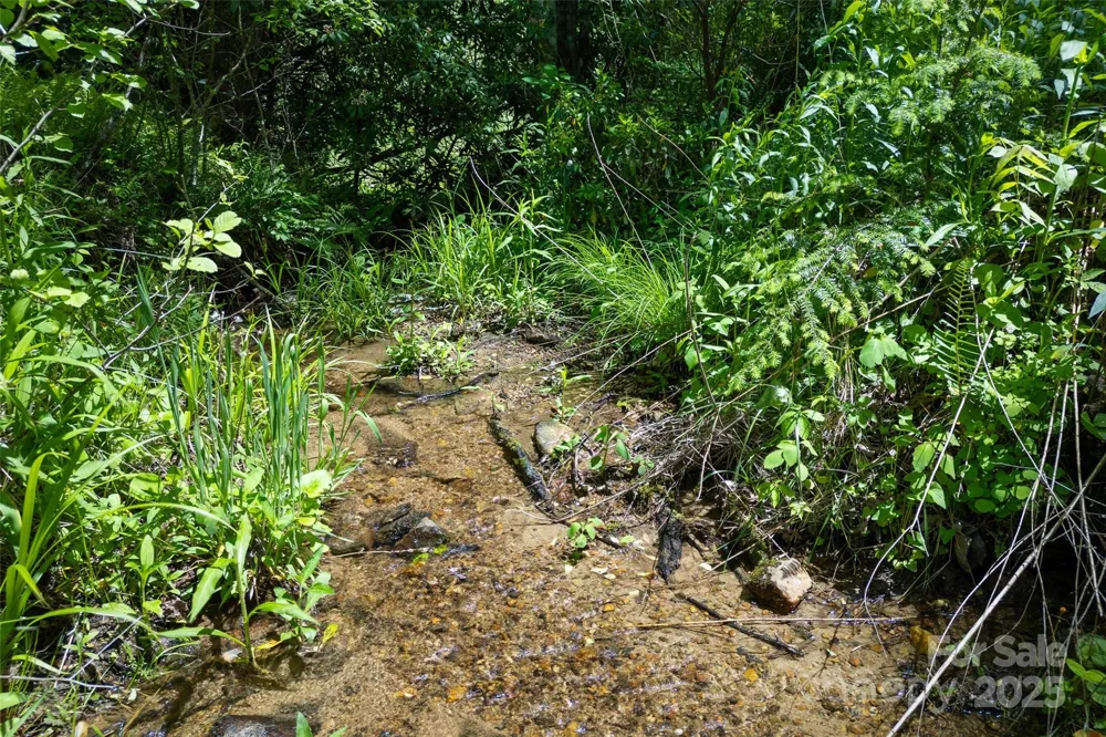 1557 Shoal Creek Road Balsam Grove, NC 28708