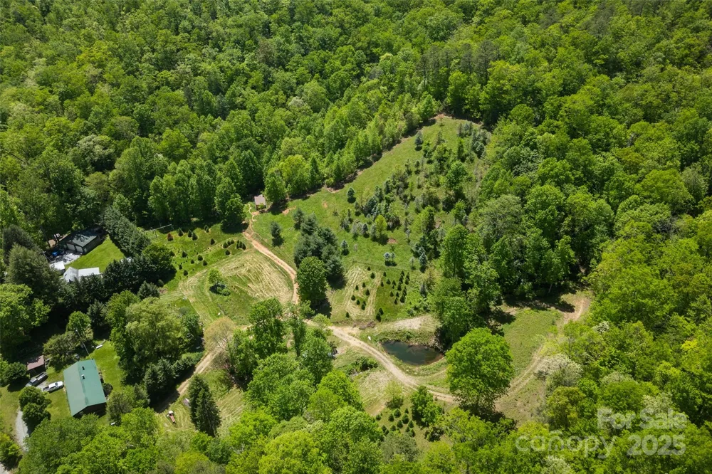 1557 Shoal Creek Road Balsam Grove, NC 28708