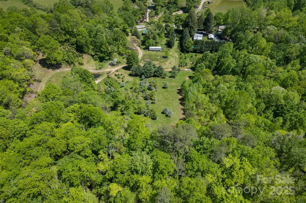 1557 Shoal Creek Road Balsam Grove, NC 28708